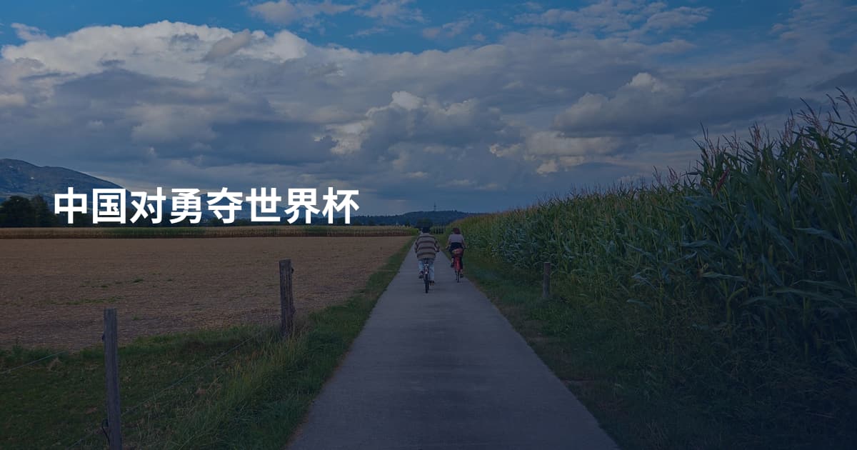 中国对勇夺世界杯