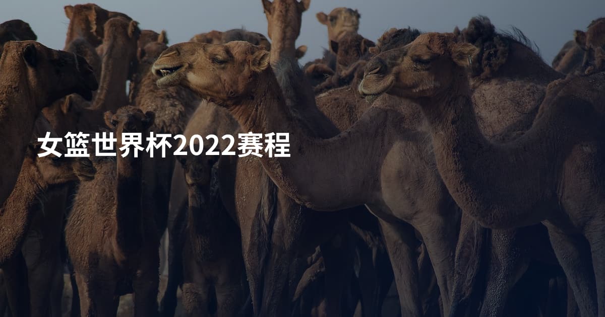 女篮世界杯2022赛程