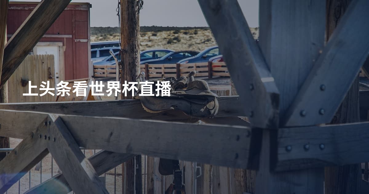 上头条看世界杯直播