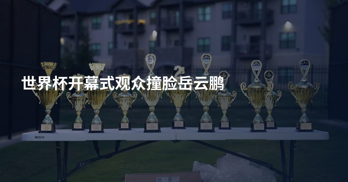 世界杯开幕式观众撞脸岳云鹏