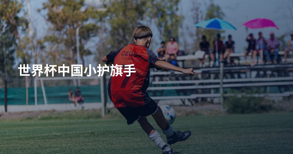 世界杯中国小护旗手