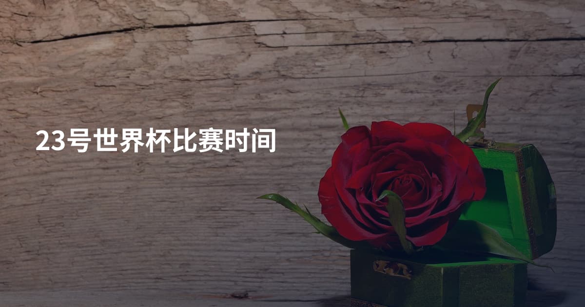 23号世界杯比赛时间