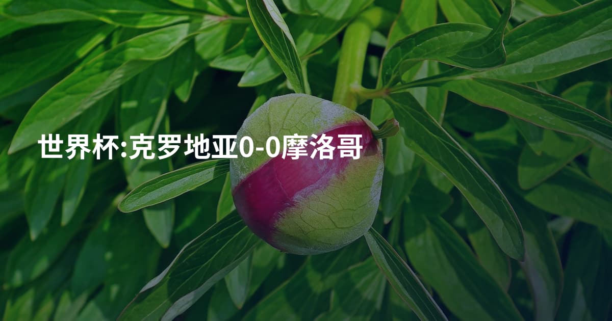 世界杯:克罗地亚0-0摩洛哥