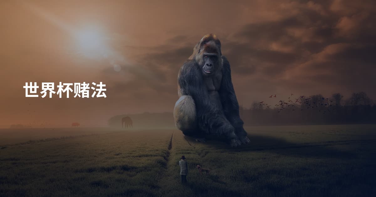 世界杯赌法