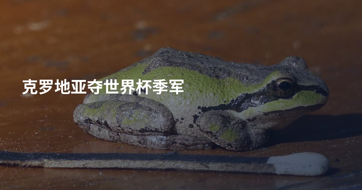 克罗地亚夺世界杯季军