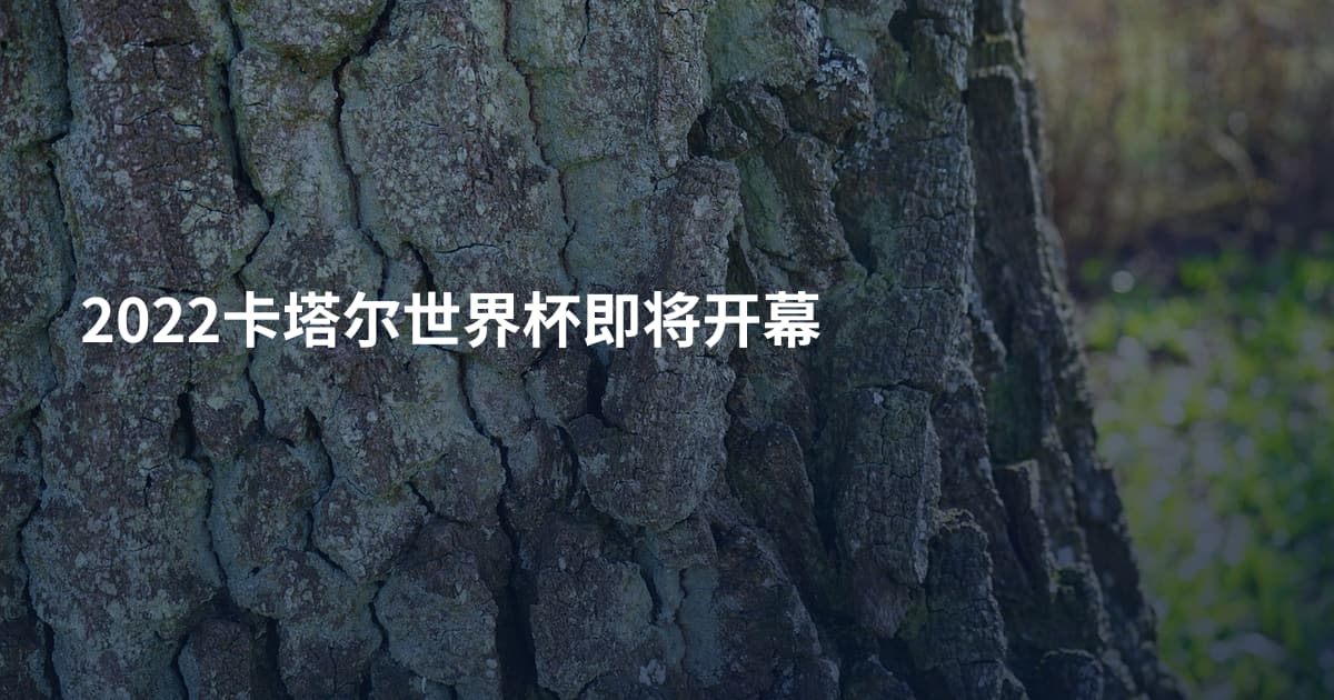2022卡塔尔世界杯即将开幕
