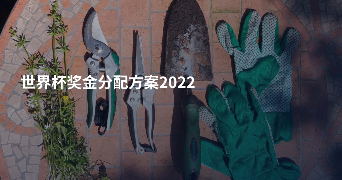 世界杯奖金分配方案2022