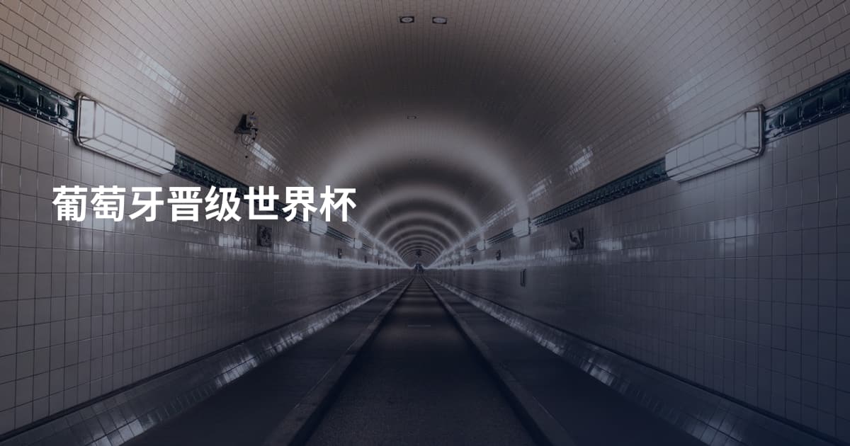 葡萄牙晋级世界杯