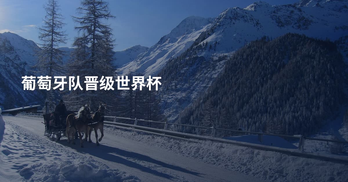 葡萄牙队晋级世界杯