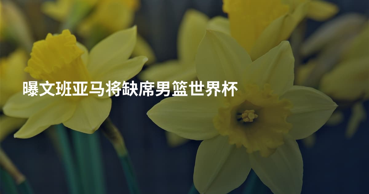 曝文班亚马将缺席男篮世界杯