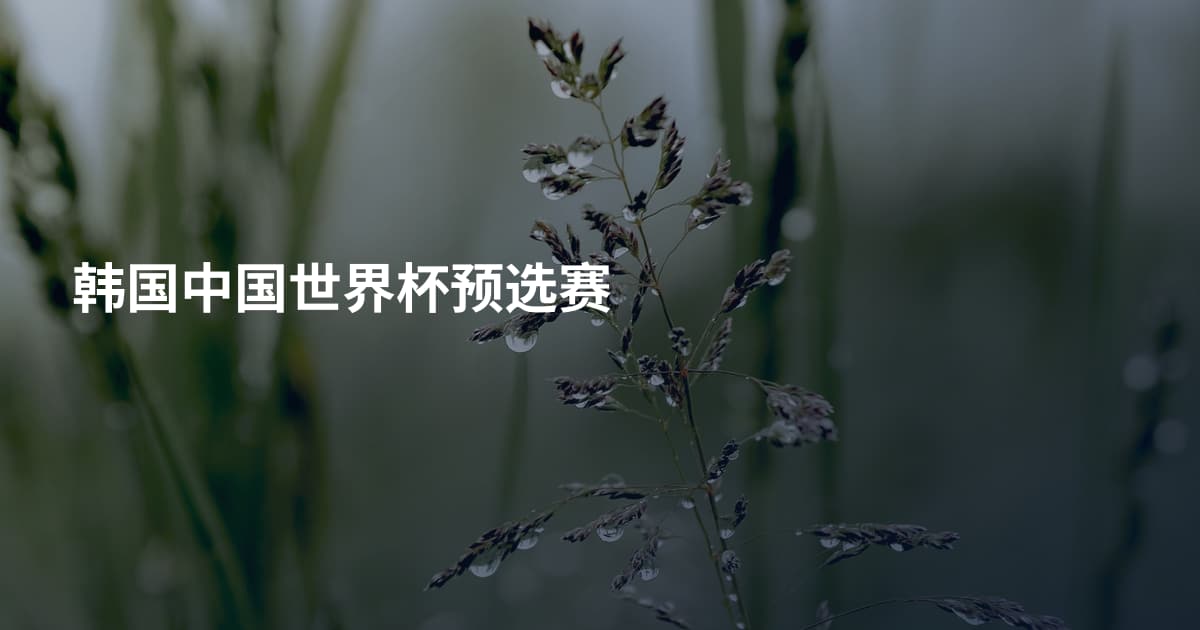 韩国中国世界杯预选赛