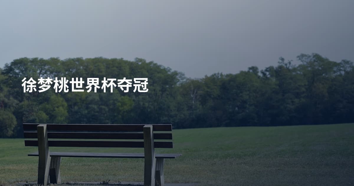 徐梦桃世界杯夺冠
