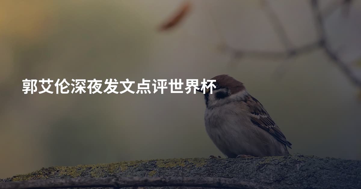 郭艾伦深夜发文点评世界杯