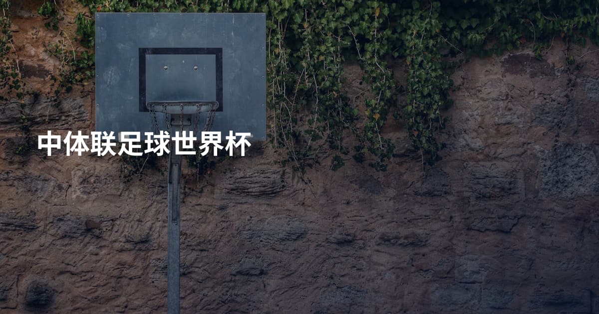 中体联足球世界杯