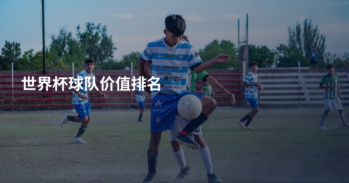 世界杯球队价值排名