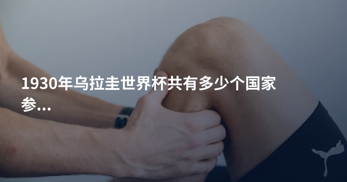 1930年乌拉圭世界杯共有多少个国家参赛
