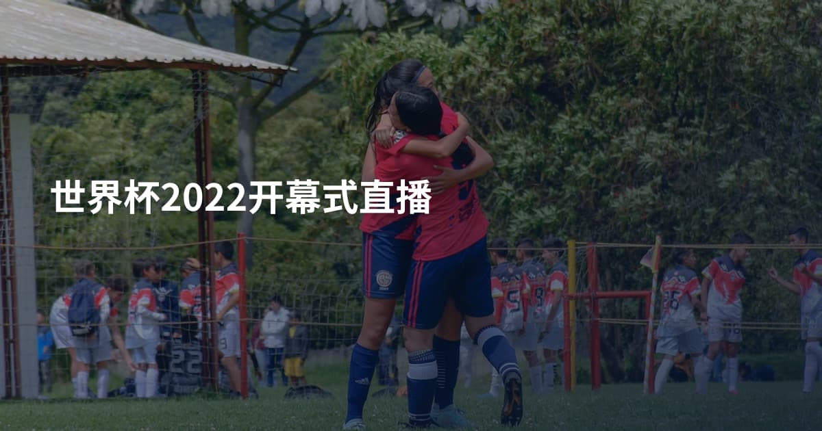 世界杯2022开幕式直播
