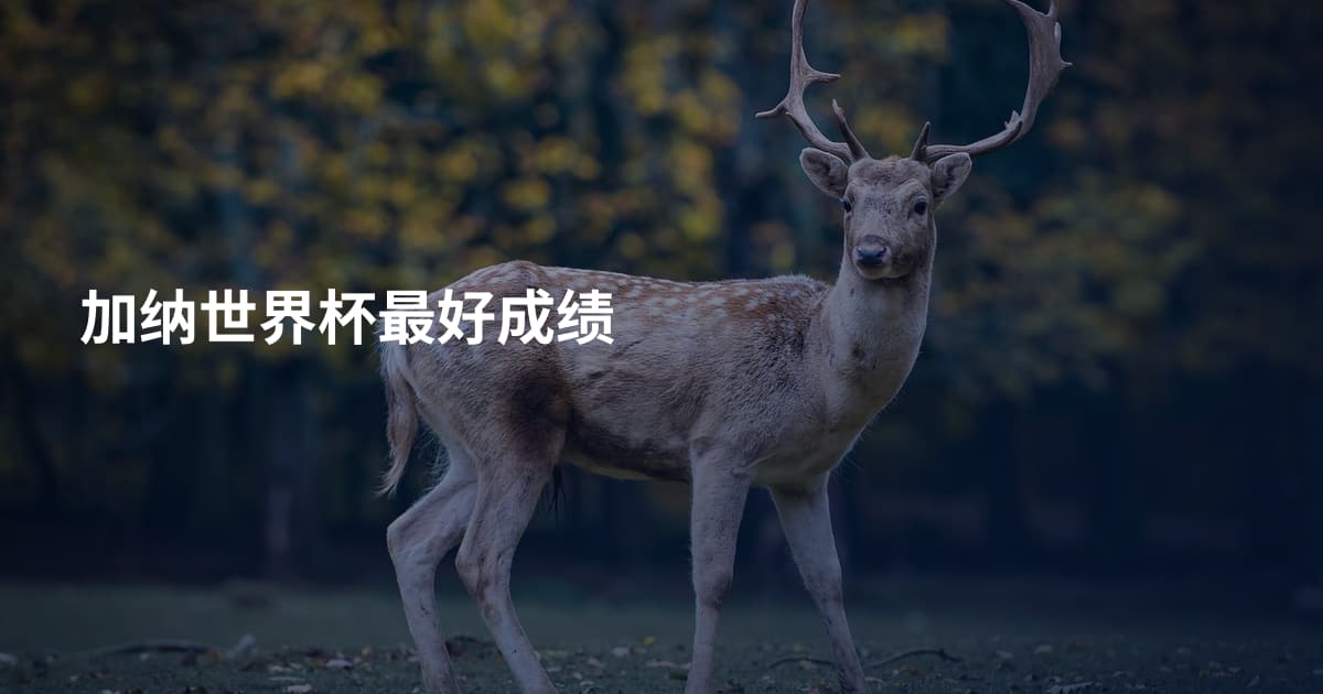 加纳世界杯最好成绩