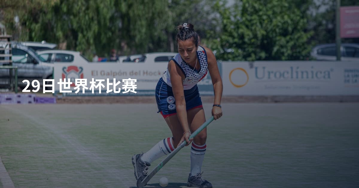 29日世界杯比赛