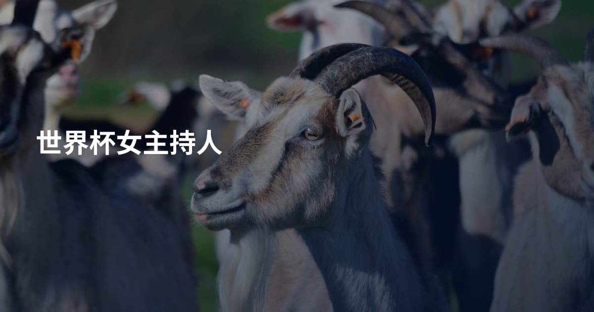 世界杯女主持人