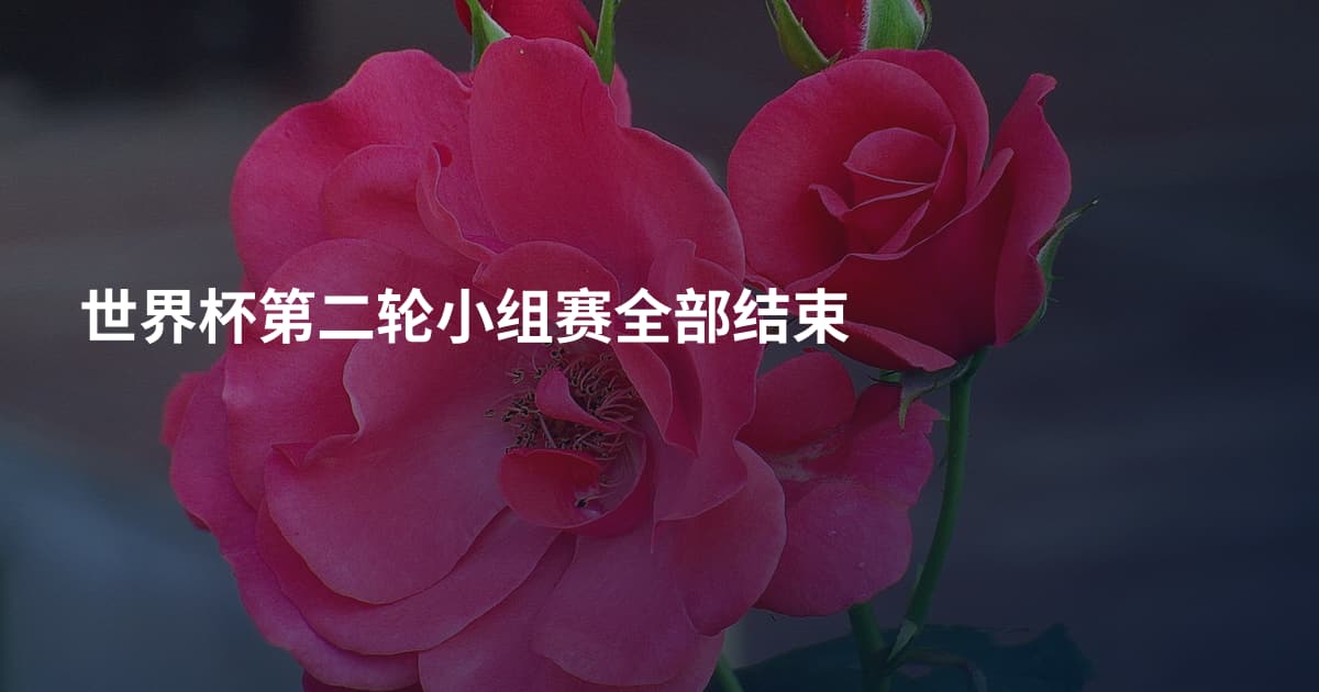 世界杯第二轮小组赛全部结束