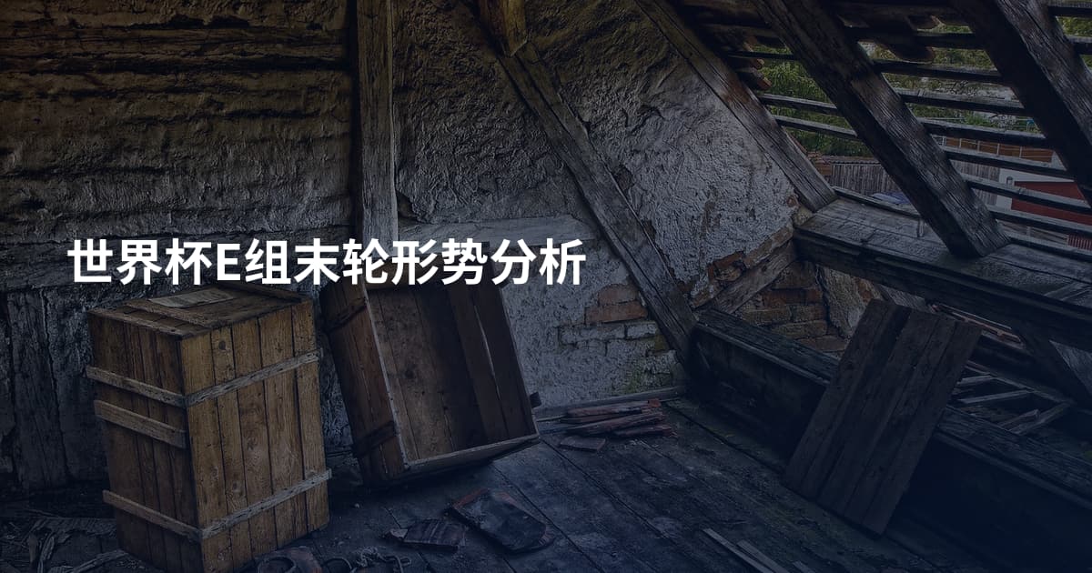 世界杯E组末轮形势分析