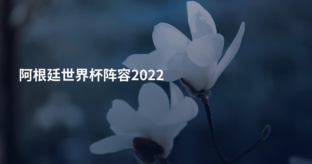 阿根廷世界杯阵容2022