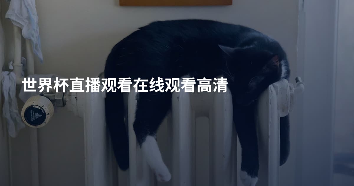 世界杯直播观看在线观看高清