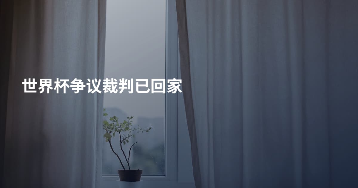 世界杯争议裁判已回家