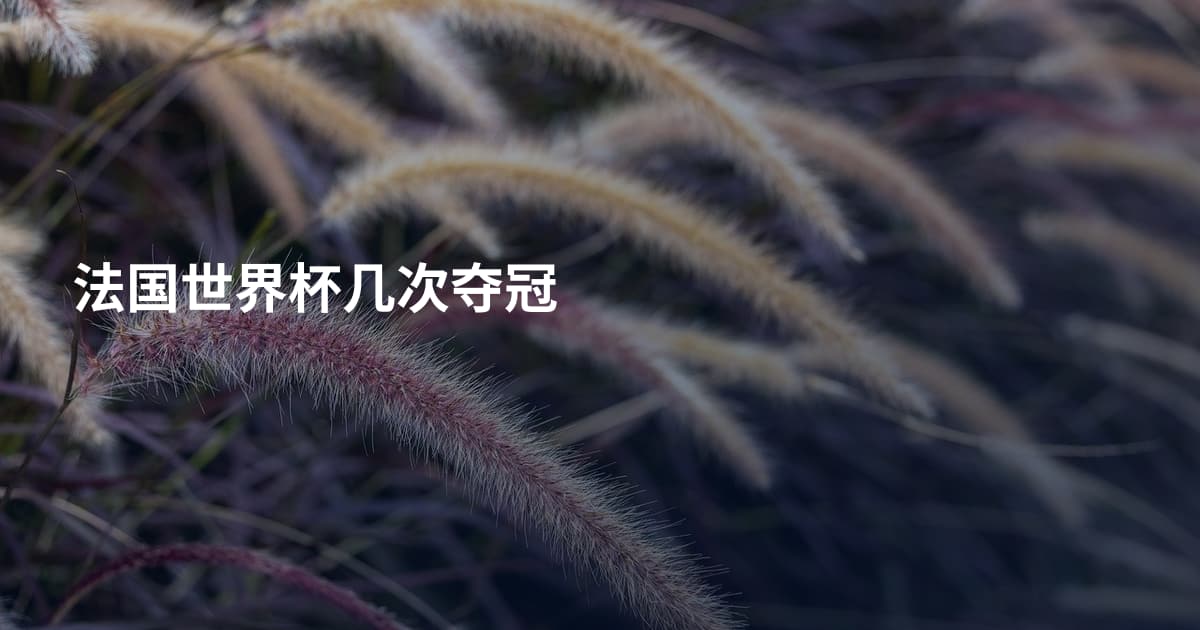 法国世界杯几次夺冠