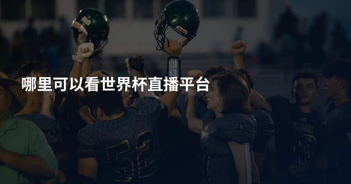 哪里可以看世界杯直播平台