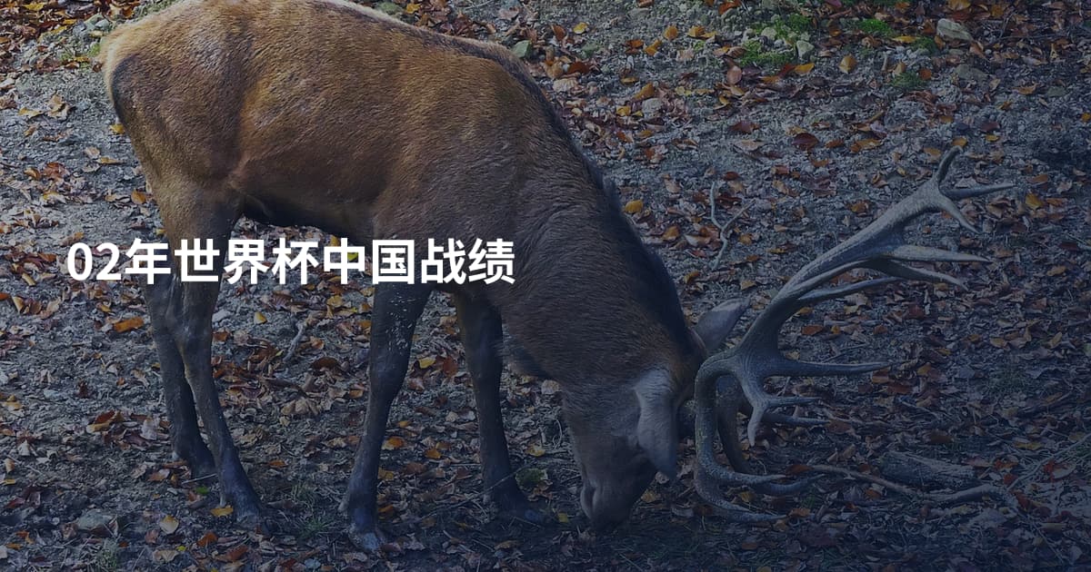 02年世界杯中国战绩