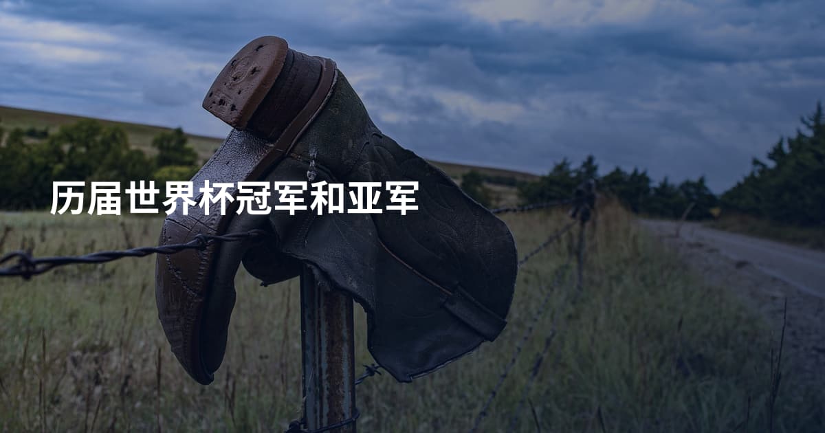 历届世界杯冠军和亚军