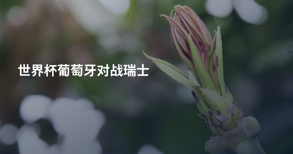 世界杯葡萄牙对战瑞士