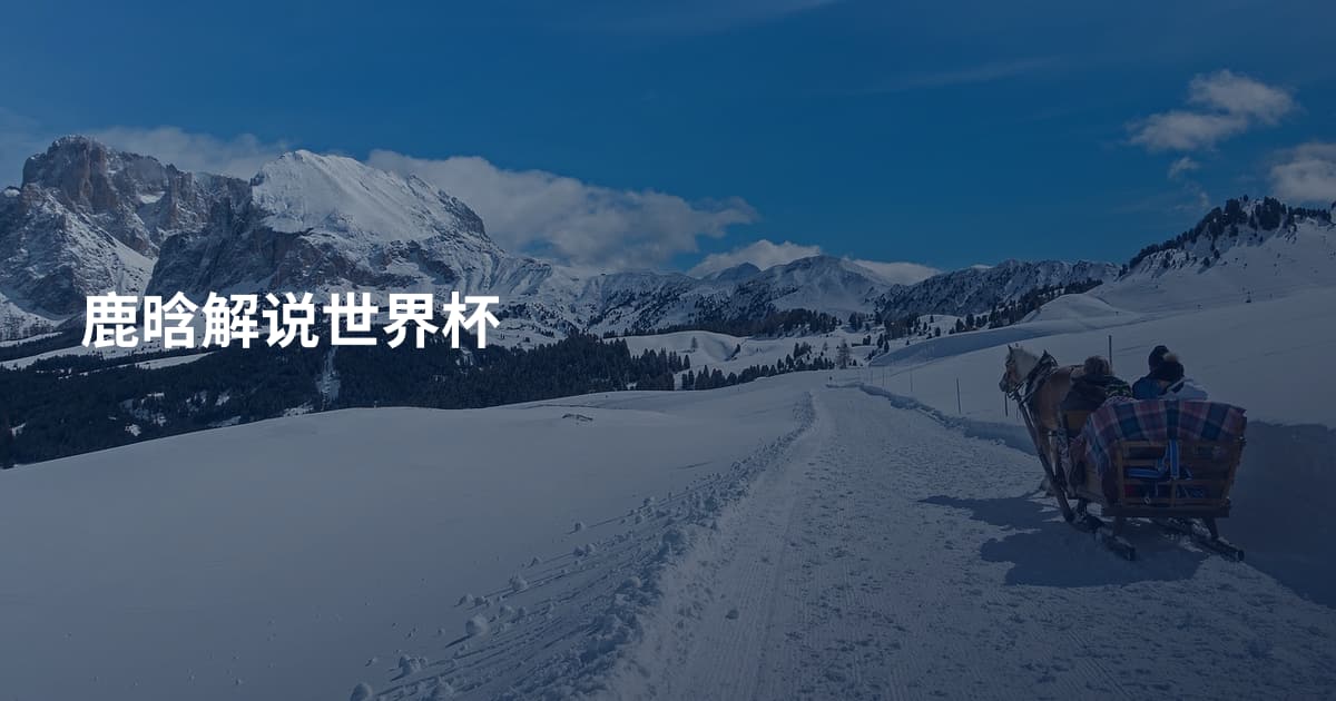 鹿晗解说世界杯