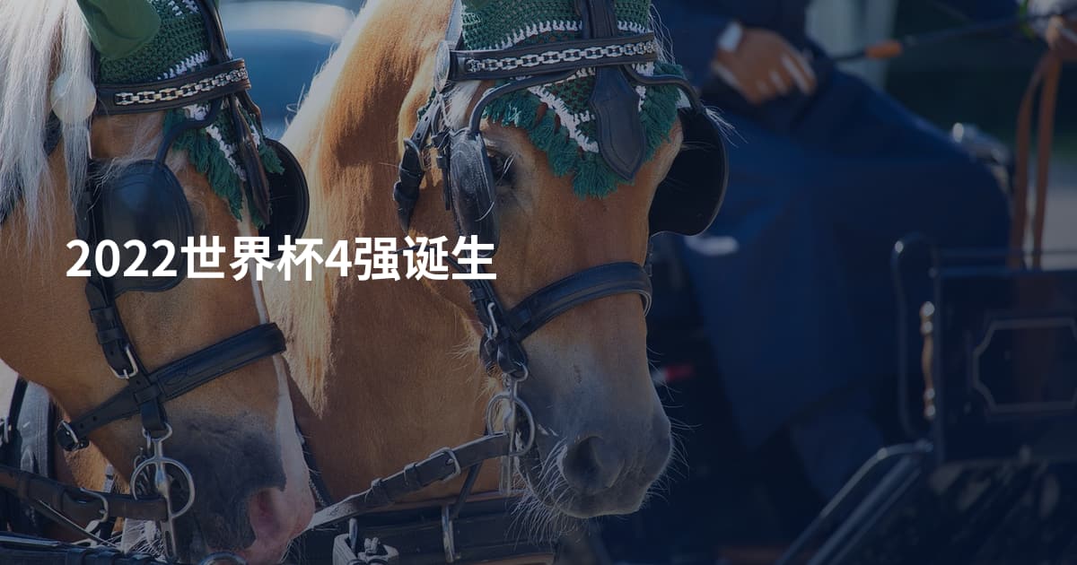 2022世界杯4强诞生