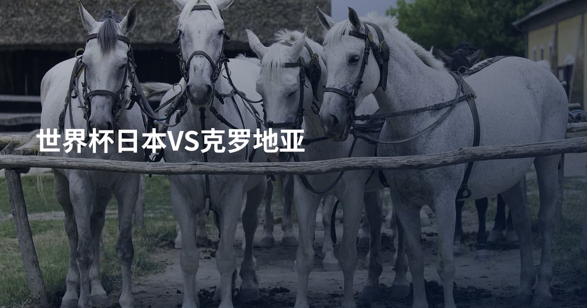 世界杯日本VS克罗地亚