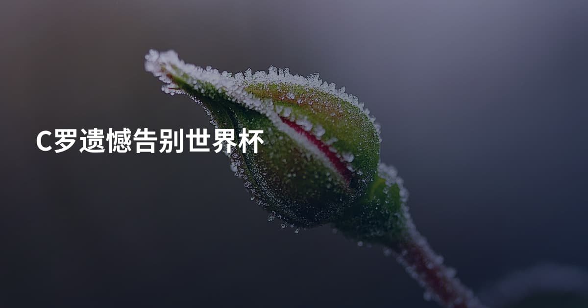 C罗遗憾告别世界杯