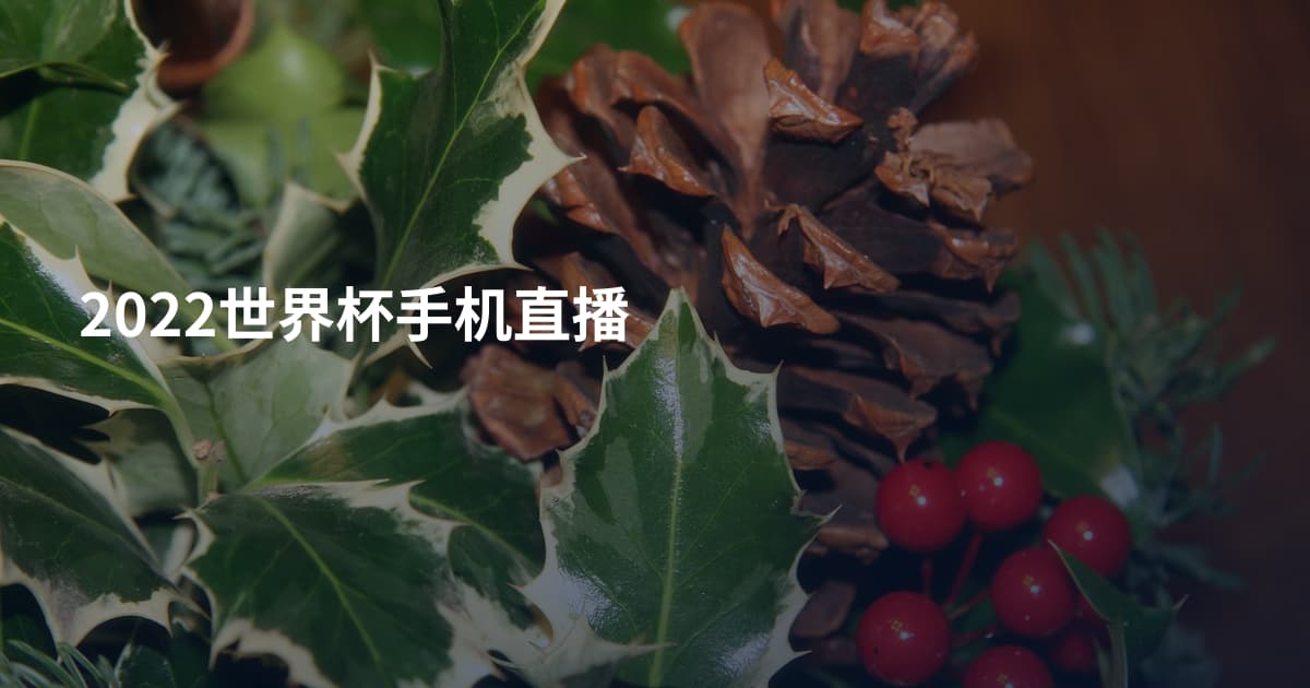 2022世界杯手机直播