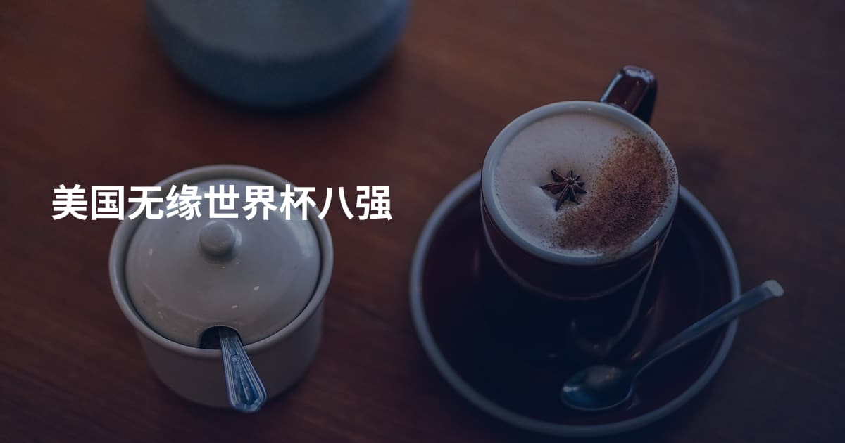 美国无缘世界杯八强
