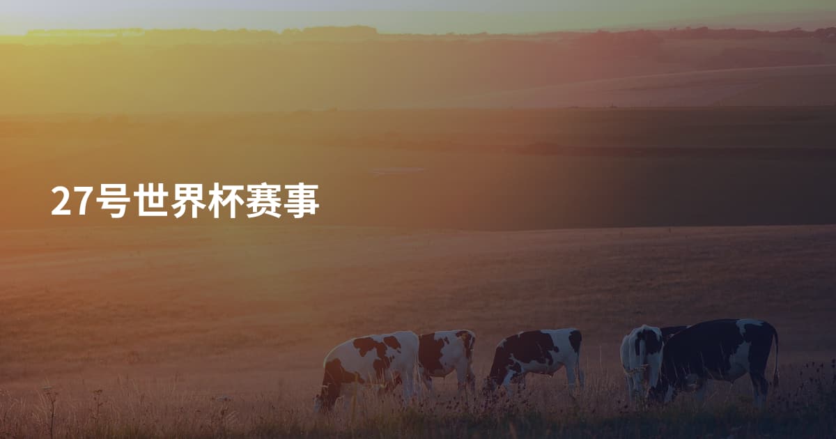 27号世界杯赛事
