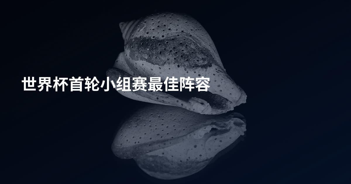 世界杯首轮小组赛最佳阵容