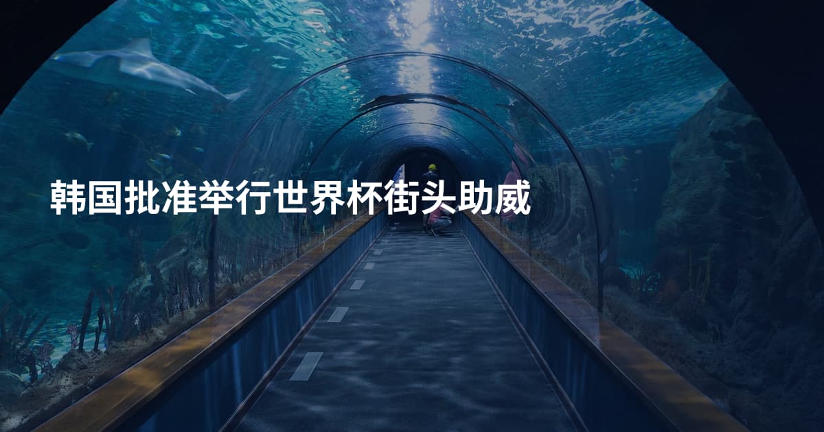 韩国批准举行世界杯街头助威