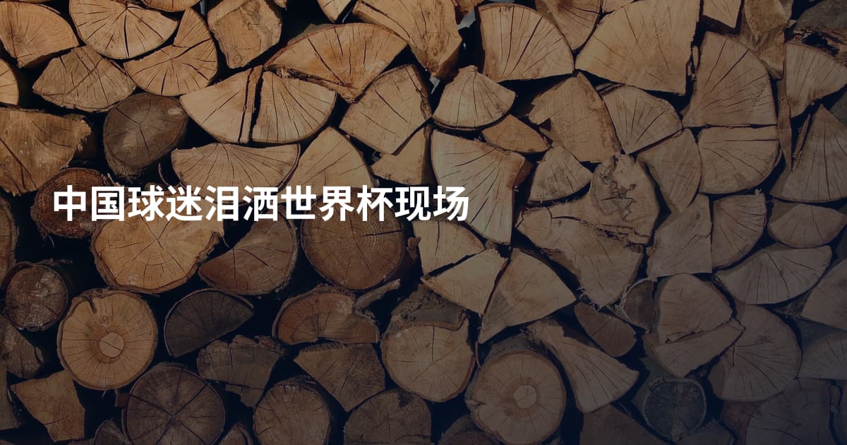 中国球迷泪洒世界杯现场