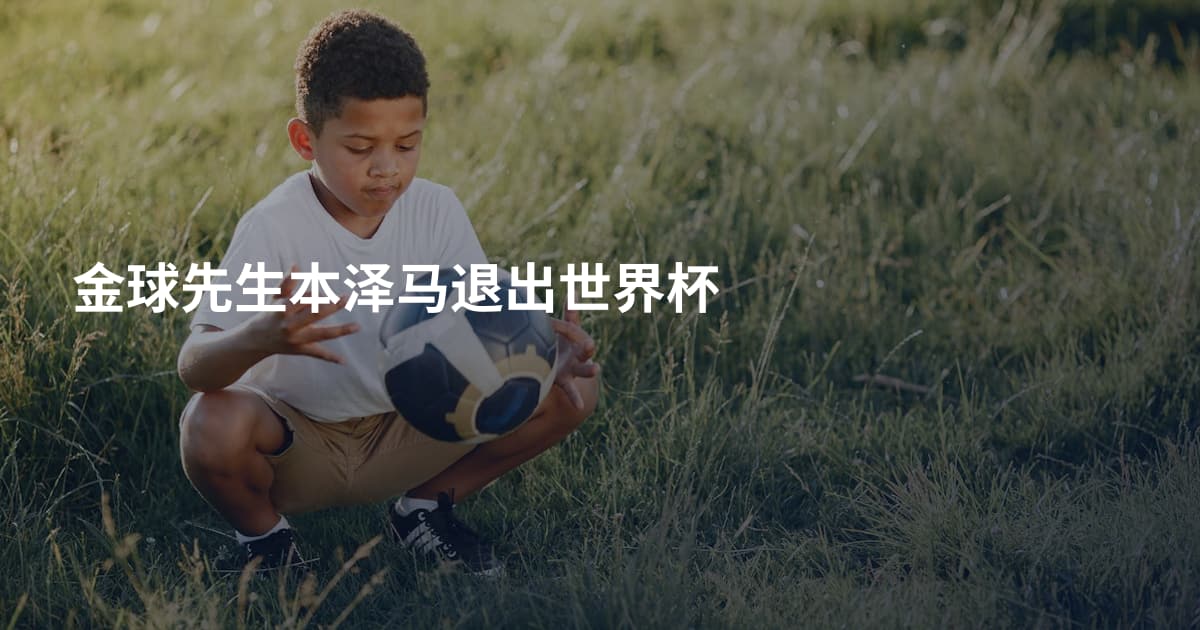 金球先生本泽马退出世界杯