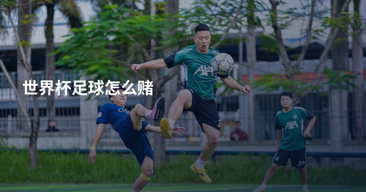 世界杯足球怎么赌