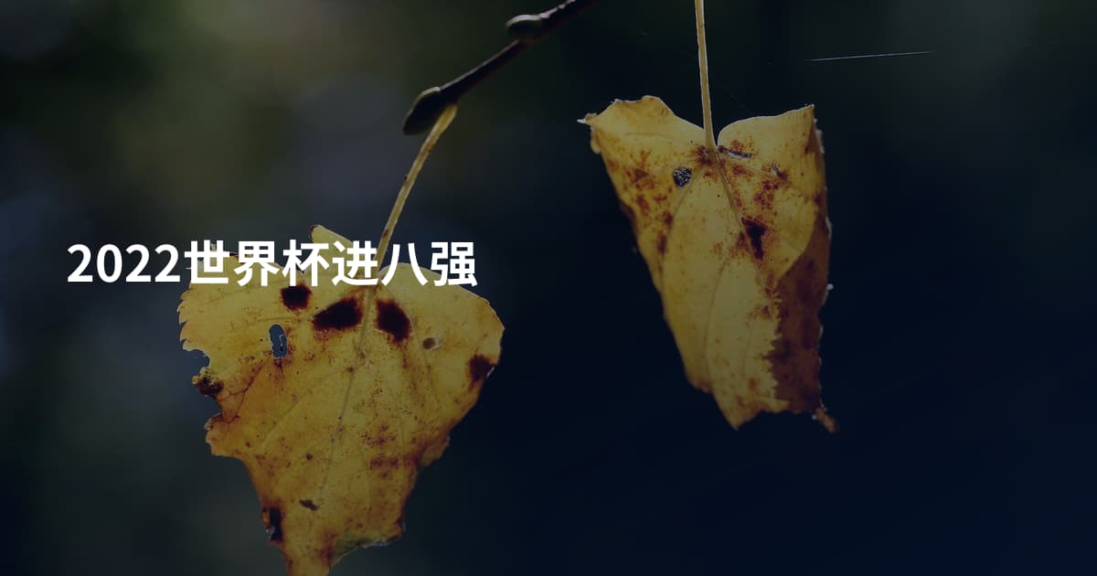 2022世界杯进八强