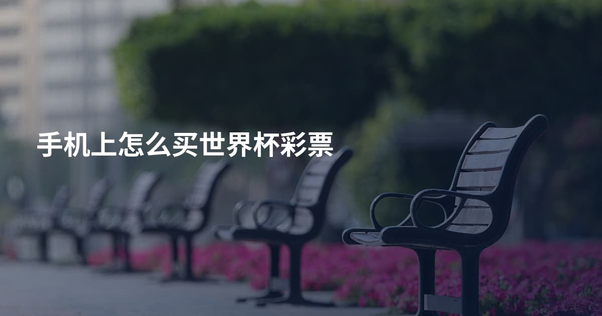 手机上怎么买世界杯彩票