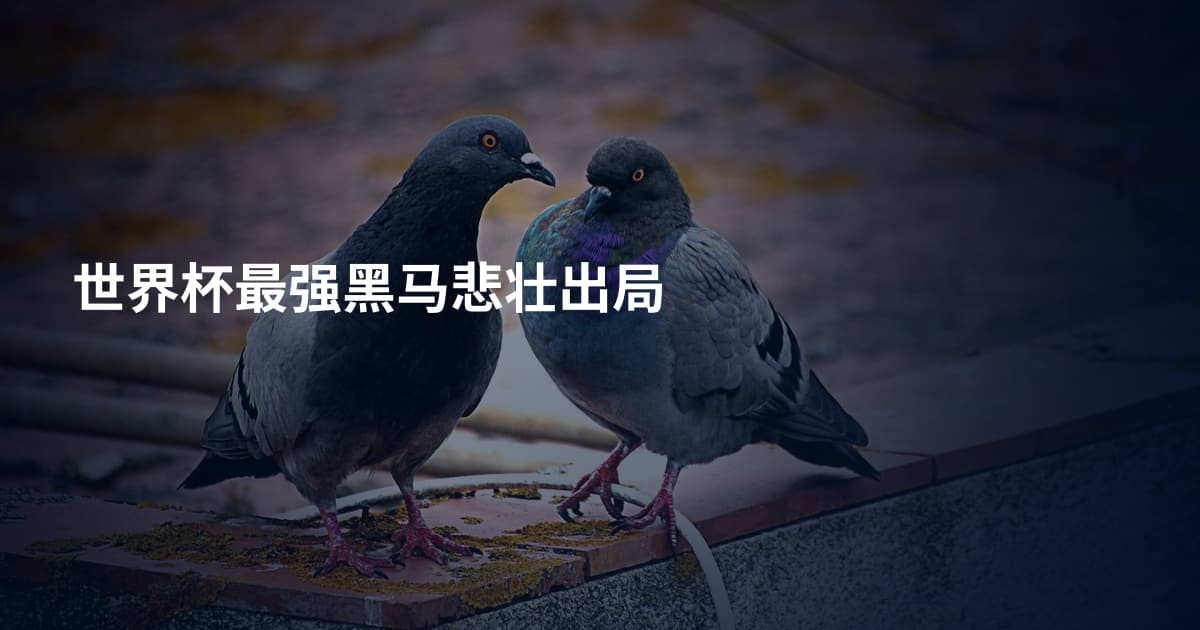 世界杯最强黑马悲壮出局