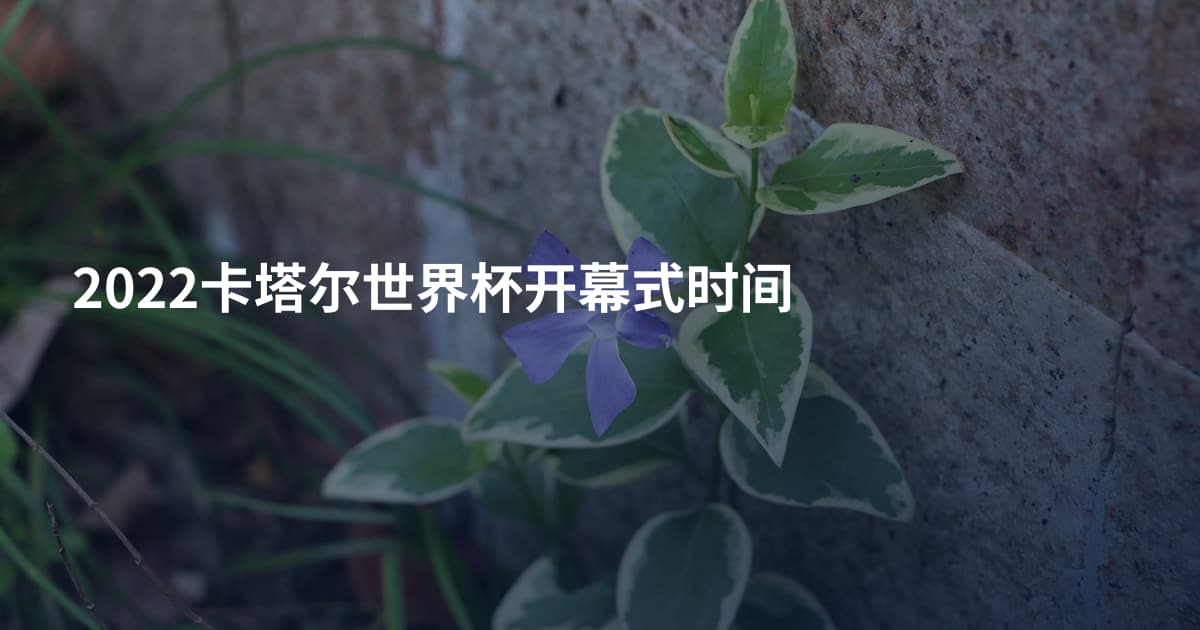 2022卡塔尔世界杯开幕式时间